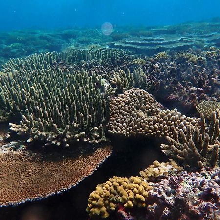 Fiji Lodge Vosa Ni Ua Savusavu Εξωτερικό φωτογραφία