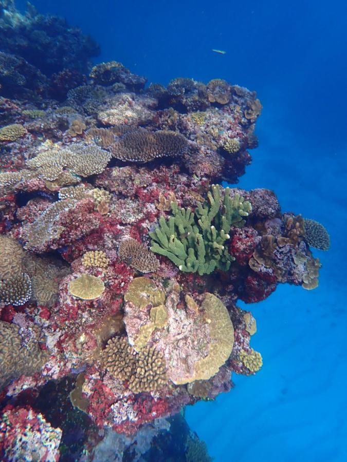 Fiji Lodge Vosa Ni Ua Savusavu Εξωτερικό φωτογραφία
