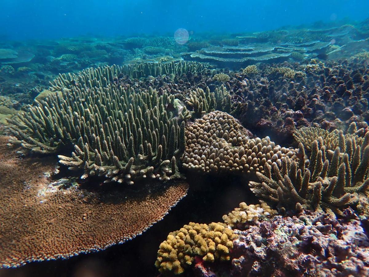 Fiji Lodge Vosa Ni Ua Savusavu Εξωτερικό φωτογραφία